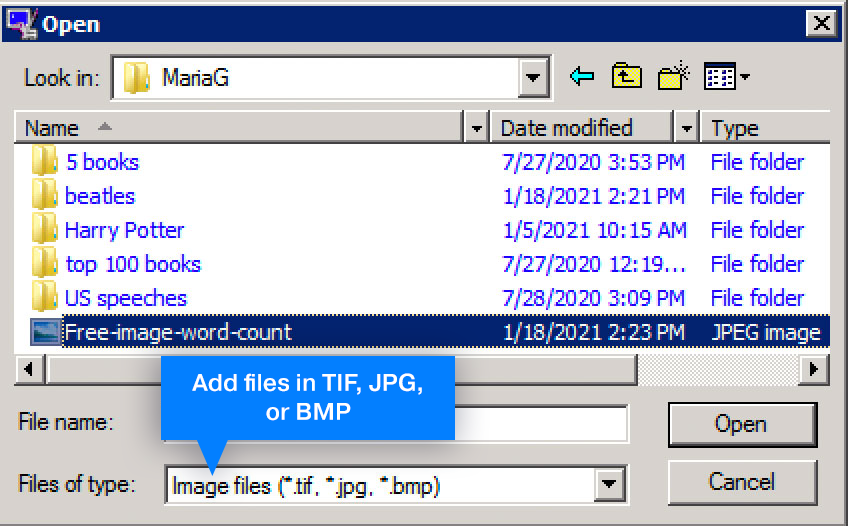 You can add TIF, JPG, or BMP to process and count words later