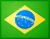 Brazil translation agency