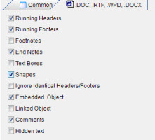 Anycount DOC format settings screenshot